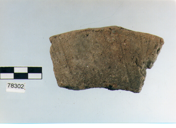 orlo, tipo E7, Fossacesia - neolitico finale (ultimo quarto IV MILLENNIO a.C)