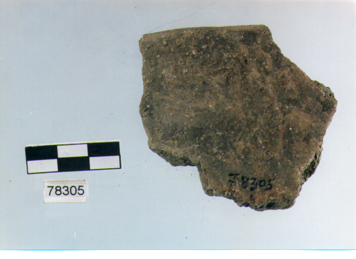 orlo, tipo E7, Fossacesia - neolitico finale (ultimo quarto IV MILLENNIO a.C)