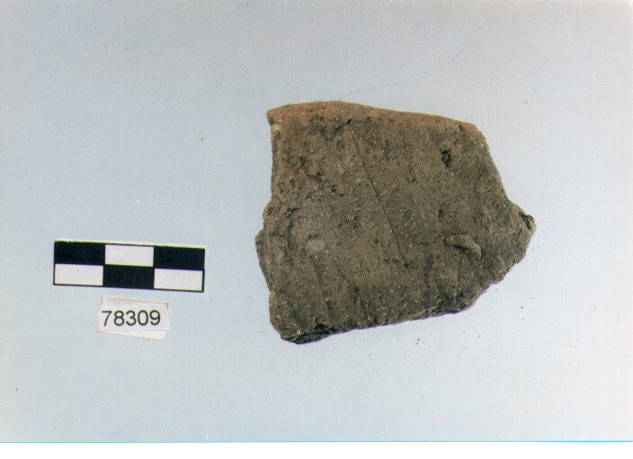 orlo, tipo E7, Fossacesia - neolitico finale (ultimo quarto IV MILLENNIO a.C)