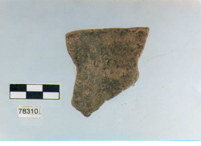 scodella, tipo F11a, Fossacesia - neolitico finale (ultimo quarto IV MILLENNIO a.C)