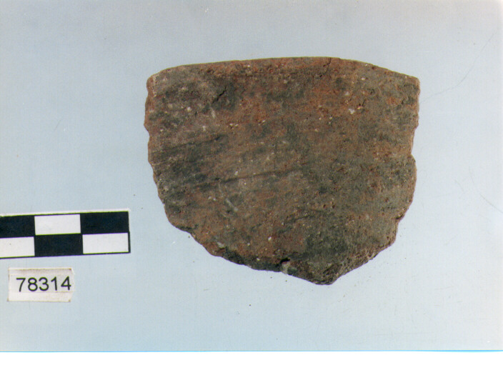 scodella, tipo F11a, Fossacesia - neolitico finale (ultimo quarto IV MILLENNIO a.C)