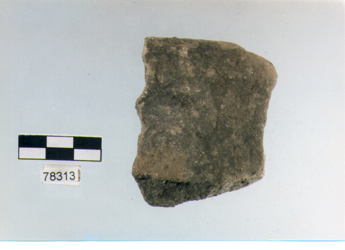 orlo, tipo E7, Fossacesia - neolitico finale (ultimo quarto IV MILLENNIO a.C)