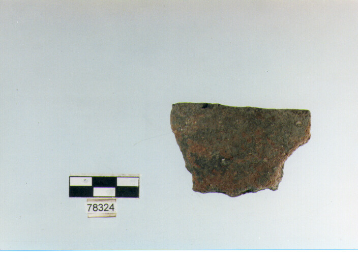 scodella, tipo F 11d, Fossacesia - neolitico finale (ultimo quarto IV MILLENNIO a.C)