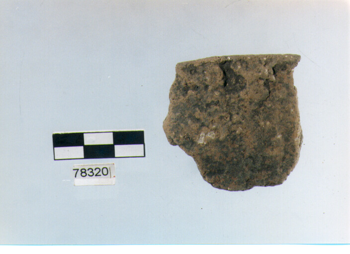 orlo, tipo E7, Fossacesia - neolitico finale (ultimo quarto IV MILLENNIO a.C)