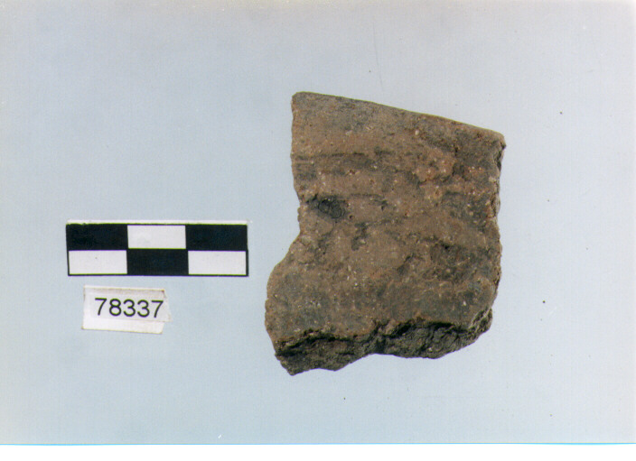 orlo, tipo E7, Fossacesia - neolitico finale (ultimo quarto IV MILLENNIO a.C)