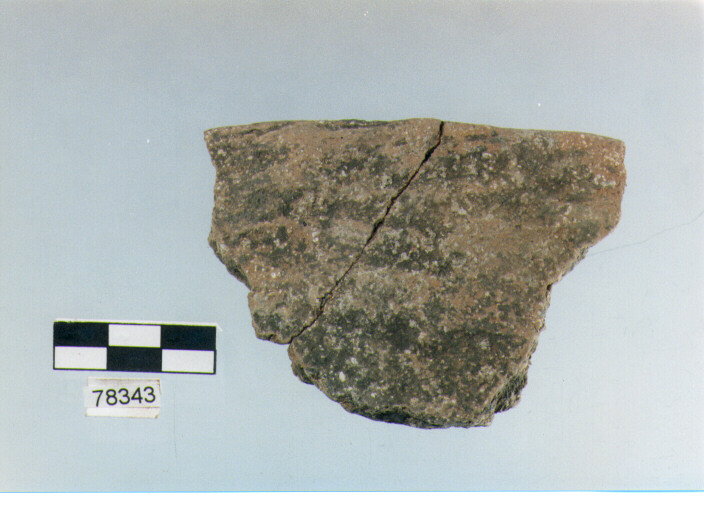 scodellone, tipo F13a, Fossacesia - neolitico finale (ultimo quarto IV MILLENNIO a.C)