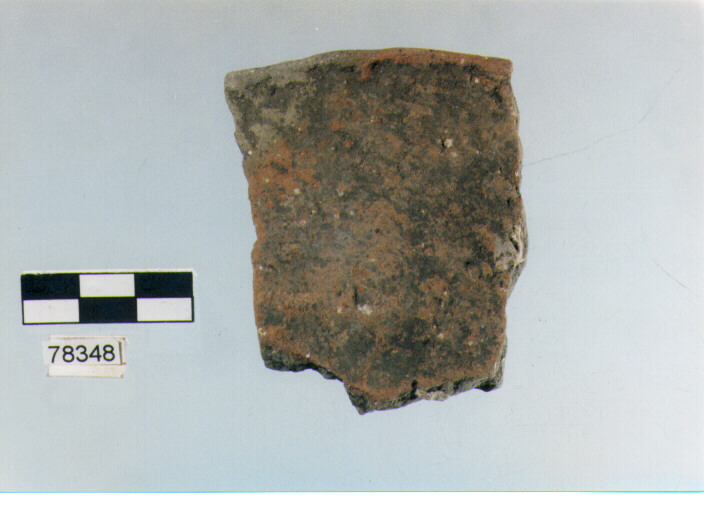 scodella, tipo F11a, Fossacesia - neolitico finale (ultimo quarto IV MILLENNIO a.C)