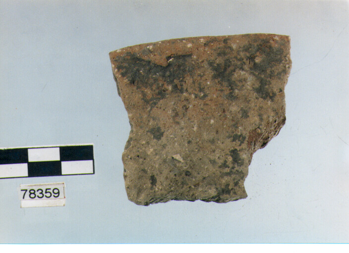 scodella, tipo F11a, Fossacesia - neolitico finale (ultimo quarto IV MILLENNIO a.C)