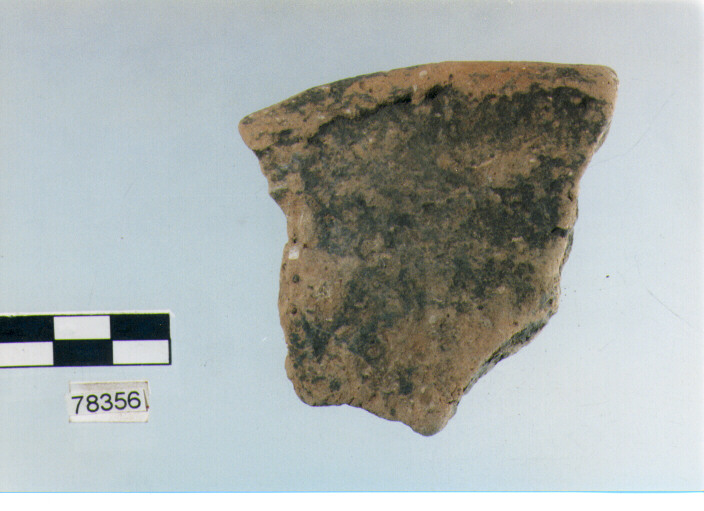 scodella, tipo F11a, Fossacesia - neolitico finale (ultimo quarto IV MILLENNIO a.C)