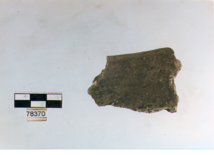 orlo, tipo E7, Fossacesia - neolitico finale (ultimo quarto IV MILLENNIO a.C)