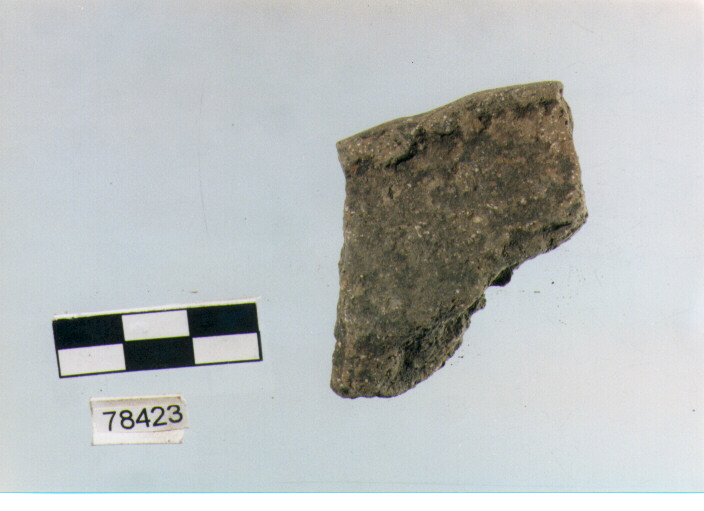 orlo, tipo E7, Fossacesia - neolitico finale (ultimo quarto IV MILLENNIO a.C)