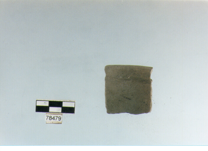 orlo, tipo E 7, Fossacesia - neolitico finale (ultimo quarto IV MILLENNIO a.C)