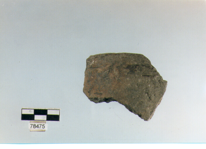 scodella, tipo F 11b, Fossacesia - neolitico finale (ultimo quarto IV MILLENNIO a.C)