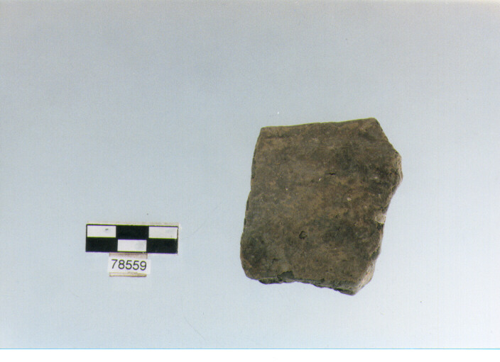 olla ovoide, tipo F 1, Fossacesia - neolitico finale (ultimo quarto IV MILLENNIO a.C)