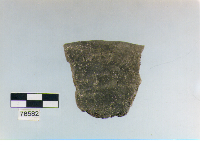 scodella, tipo F11a, Fossacesia - neolitico finale (ultimo quarto IV MILLENNIO a.C)