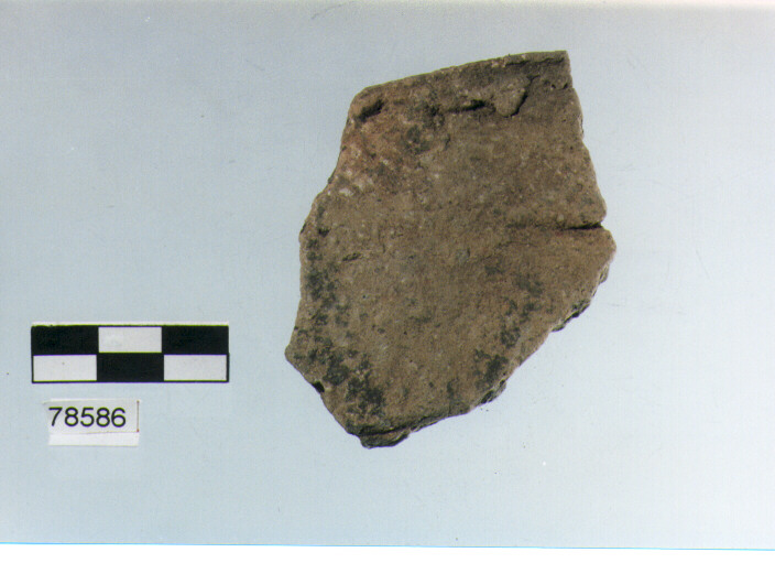 orlo, tipo E7, Fossacesia - neolitico finale (ultimo quarto IV MILLENNIO a.C)