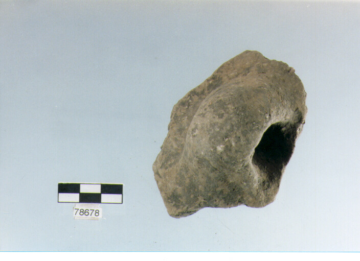 ansa ad anello, tipo A1, Fossacesia - neolitico finale (ultimo quarto IV MILLENNIO a.C)