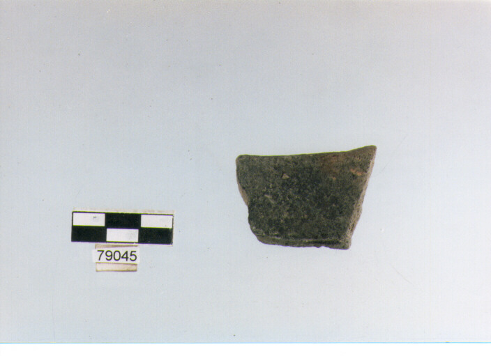 orlo, tipo E 7, Fossacesia - neolitico finale (ultimo quarto IV MILLENNIO a.C)