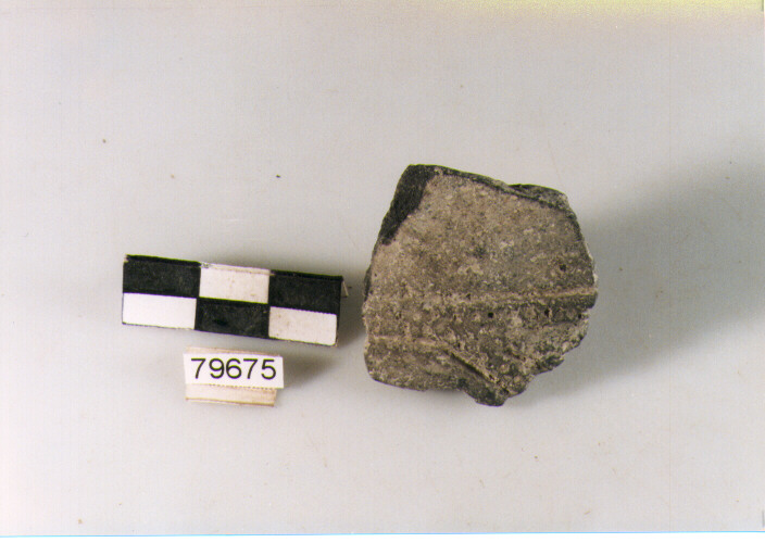 vaso/ parete - appenninico (bronzo medio)