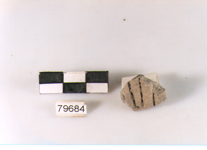 vaso/ parete - appenninico (età del bronzo medio)