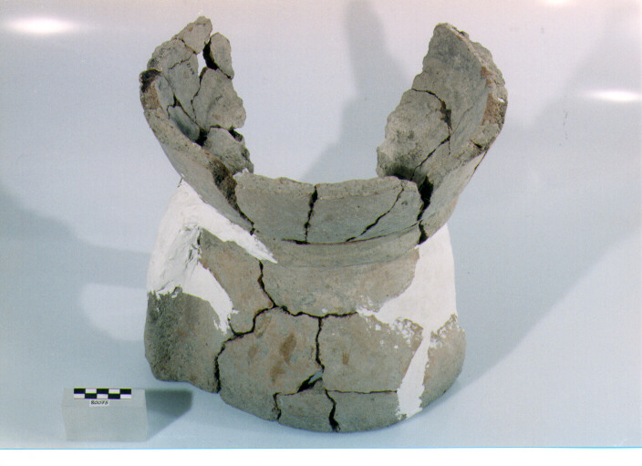 fornello (BF/ prima età del Ferro)