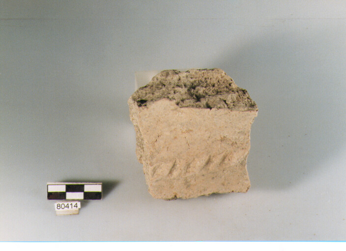 cordone a tacche, cordoni, tipo 4, Archi (BF/ prima età del Ferro)