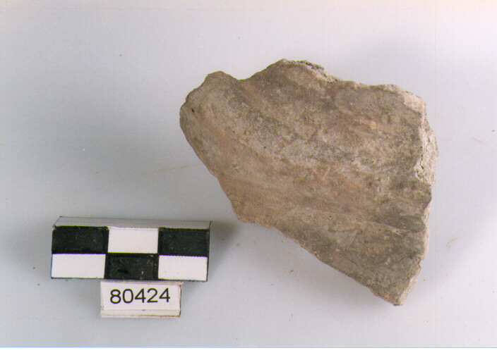 scodella/ parete (BF/ prima età del Ferro)