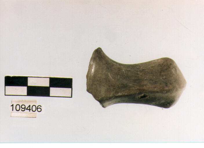 ansa/ sopraelevazione - subappenninico (età del bronzo recente)