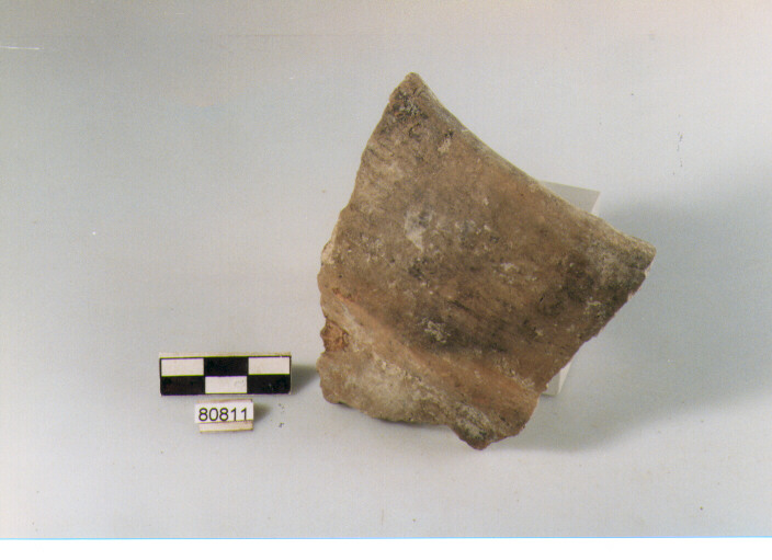 DOLIO CORDONATO, dolii a botte, tipo 1, Archi (BF/ prima età del Ferro)