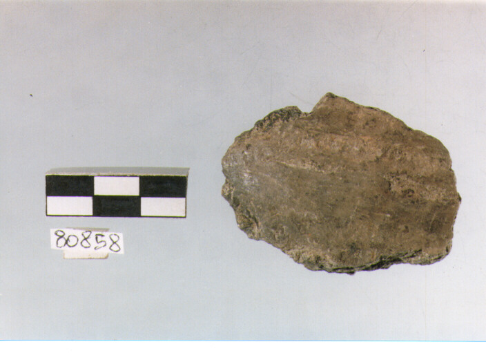 vaso/ parete cordonata, cordoni tipo 1, Archi (BF/ prima età del Ferro)