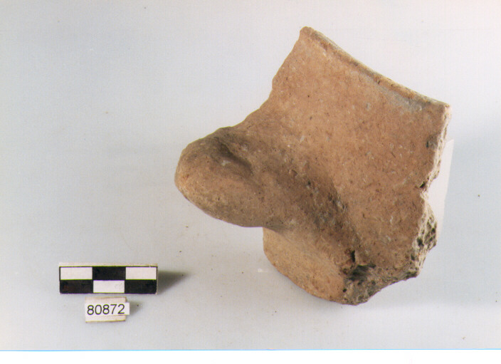 DOLIO CORDONATO, dolii a botte, tipo 1, Archi (BF/ prima età del Ferro)