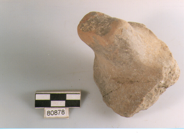 presa a lingua insellata, prese tipo 2, Archi (BF/ prima età del Ferro)