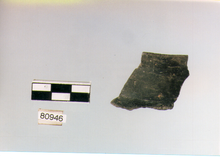 anforetta a collo distinto, anforette o brocchette tipo 9, Archi (BF/ prima età del Ferro)