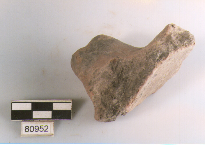 presa a lingua insellata, prese tipo 2, Archi (BF/ prima età del Ferro)