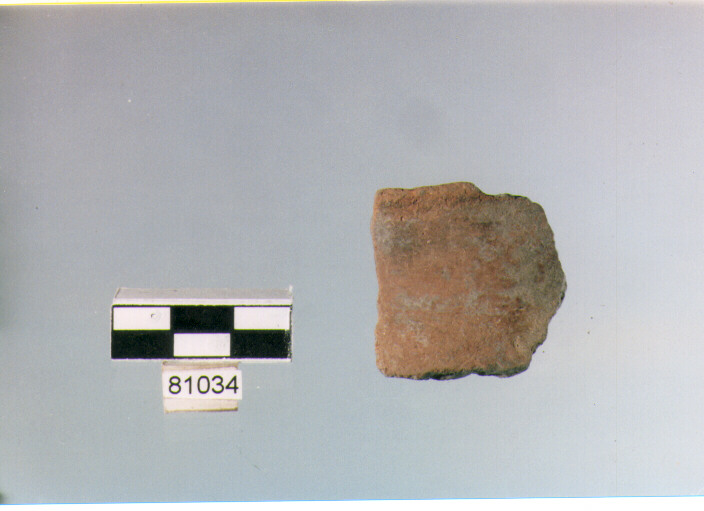 tazza a collo troncoconico, tazze basse, tipo 2, Archi (BF/ prima età del Ferro)