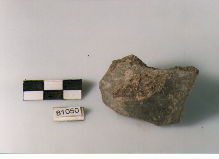 attacco di ansa (BF/ prima età del Ferro)