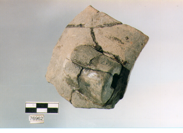 olla ovoide, tipo F8, Ripoli - neolitico finale-Ripoli III (IV MILLENNIO a.C)