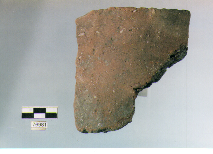 vaso, tipo F 35, Ripoli - neolitico finale-Ripoli III (IV MILLENNIO a.C)