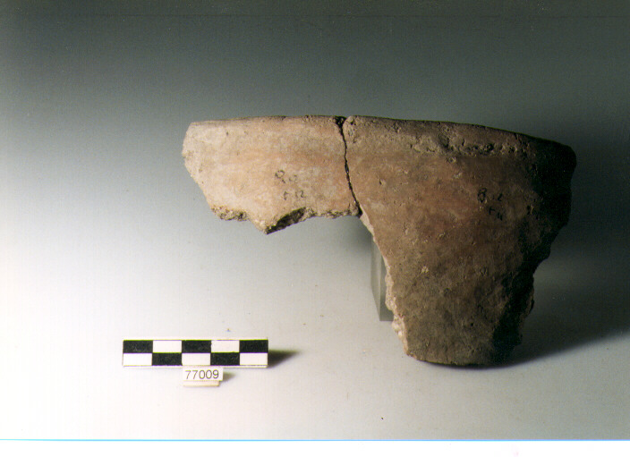 ciotola carenata, tipo F29b, Ripoli - neolitico finale-Ripoli I (IV MILLENNIO a.C)