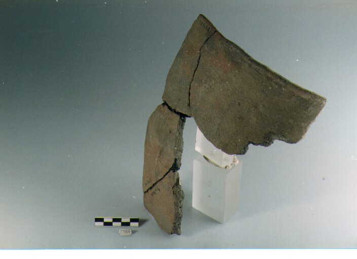 vaso ovoide, tipo F36, Ripoli - neolitico finale-Ripoli III (IV MILLENNIO a.C)