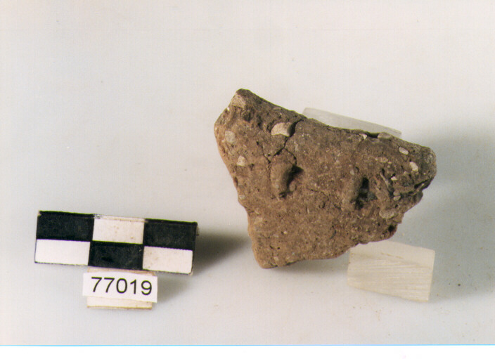 orlo, tipo E12 a1 Ripoli - neolitico finale-Ripoli III (IV MILLENNIO a.C)