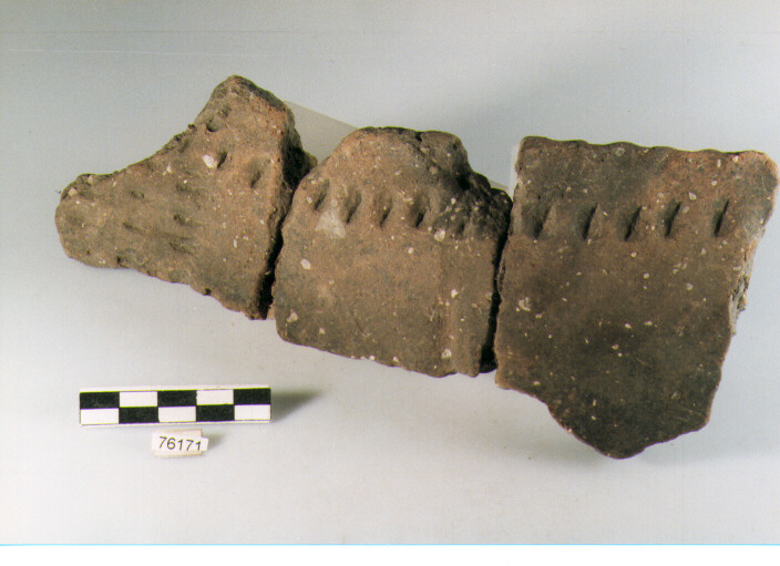 vaso ovoide, tipo F36 Ripoli - neolitico finale-Ripoli III (IV MILLENNIO a.C)