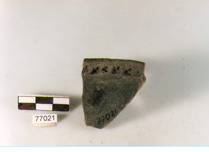 scodella troncoconica, tipo F14 Ripoli - neolitico finale-Ripoli III (IV MILLENNIO a.C)