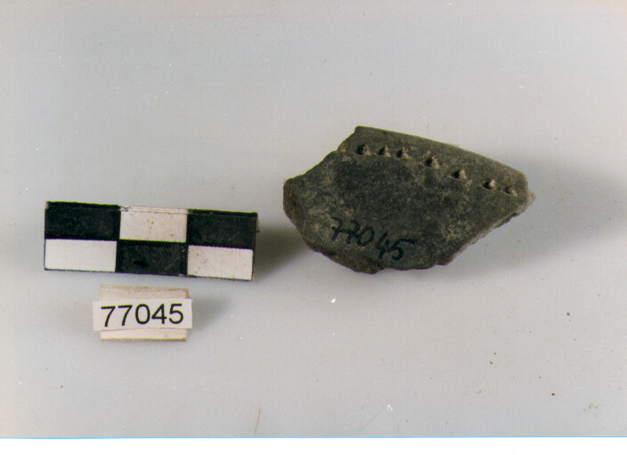 orlo, tipo E12 a1, Ripoli - neolitico finale-Ripoli III (IV MILLENNIO a.C)