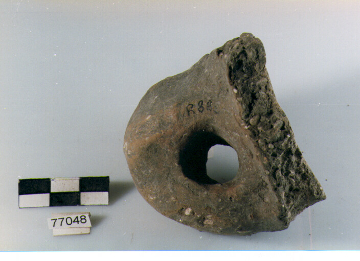 ansa a nastro, tipo A5, Ripoli - neolitico finale-Ripoli III (IV MILLENNIO a.C)