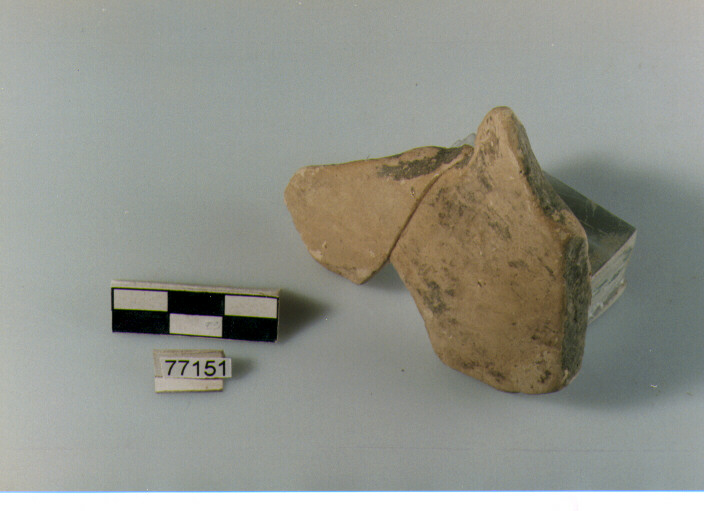 Parete, tipo E11 Ripoli - neolitico finale- Ripoli I (IV MILLENNIO a.C)