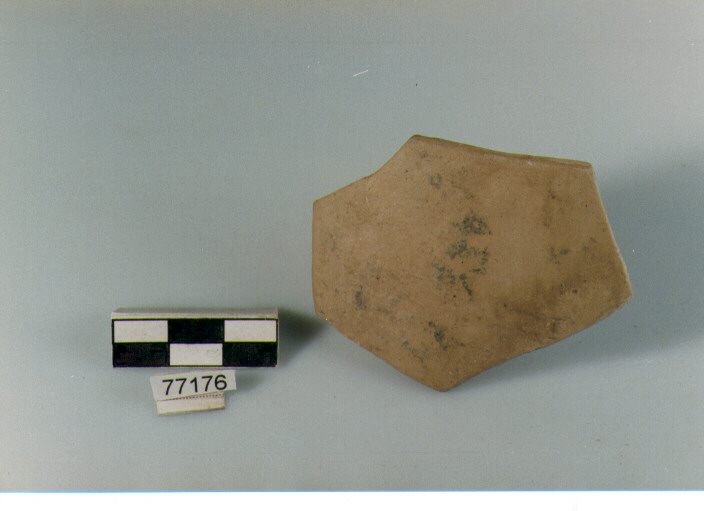 orlo, tipo E12 Ripoli - neolitico finale- Ripoli I (IV MILLENNIO a.C)