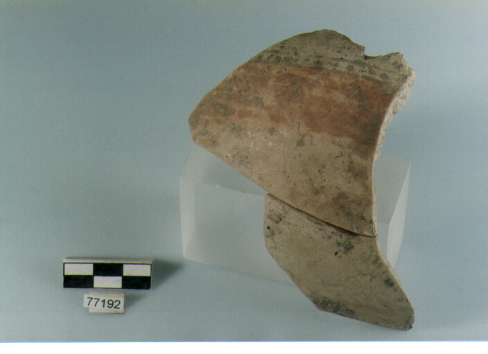 Parete, tipo E11 Ripoli - neolitico finale- Ripoli I (IV MILLENNIO a.C)