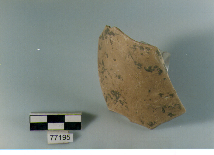 orlo, tipo E12 Ripoli - neolitico finale- Ripoli I (IV MILLENNIO a.C)