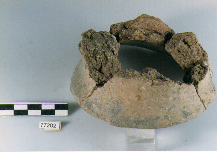 piede, tipo E3b Ripoli - neolitico finale- Ripoli I (IV MILLENNIO a.C)